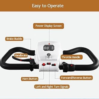 Electric Golf Cart 4 Wheel Mobility Scooter for Seniors with Storage Box, Farm Load Truck for Seniors and Adults Comes, Courtesy Car