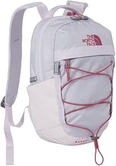 THE NORTH FACE Men's Borealis Backpack (pack of 1)