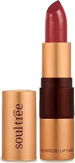 SOULTREE Organic Lipstick with Ayurveda Ingredients (4.5g, Sunshine) 100% Natural Lipstick For Everyday Use - Sweet Almond & Wild Honey Ayurvedic Lip Stick