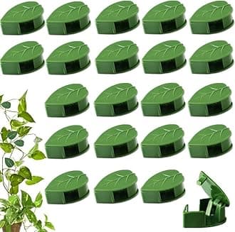 - Money Plant Holder Plant Support Clips Plant Clips for Climbers Money Plant Clips for Wall Support Climber Support for Plants Climbing Clips for Plants Creeper Climb Clip Leaf Shape Pack of 20