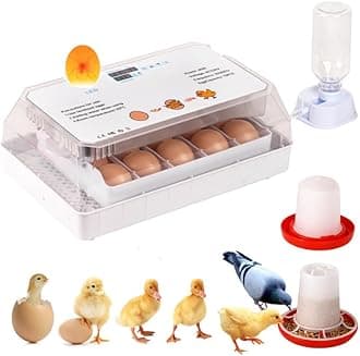 15 Egg Incubator Chicken Eggs Hatching Machine Automatic Digital Mini Home Hatching Equipment with LED Light Egg Candler Tester and Temperature Control for Chicken Duck Quail Bird, AM-8ying