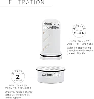 LifeStraw Home – Water Filter Pitcher, 10-Cup, Obsidian, BPA Free Designed for Everyday Protection Against Bacteria, parasites, microplastics, Lead, Mercury, PFAS and a Variety of Chemicals