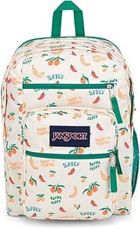 JANSPORT BIG STUDENT Large Backpack, 15 inch laptop compartment, Five A Day Cream (Multicolor)