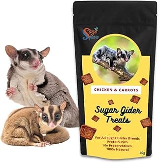 Sage Square Chicken & Carrot Sugar Glider Treat, Crunchy Protein Rich Snack (30g)