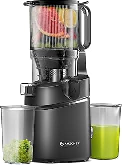 AMZCHEF Automatic Cold Press Juicer Machines 250W Liberate Your Hands -145MM Opening and 2L Capacity Slow Juicers for Whole Fruit and Vegetable, with Triple Filter, Safety Lock, Classic Black