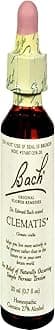 Bach Original Flower Remedies, Clematis - Have Focus - Natural Homeopathic Flower Essence for Emotional Balance - Vegan, Gluten Free, Sugar Free - 20mL Dropper