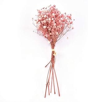 Natural Dried Flowers, Gypsophila Dried Flower for Home Living Room Wedding Dining Table Decoration DIY Flower Arrangement Party Decoration(Pink)