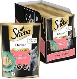 Sheba Fine Premium Kitten (2-12 Months) Wet Cat Food, Chicken Premium Loaf, 70 g Pouch (Pack of 14), High-Moisture Gravy Kitten cat Food for Healthy Hydration