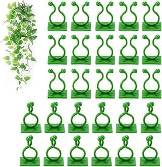 TASMAX money plant holder plant support clips plant clips for climbers money plant clips for wall support climber support for plants climbing clips for plants hooks for wall creeper climb clip PACK100