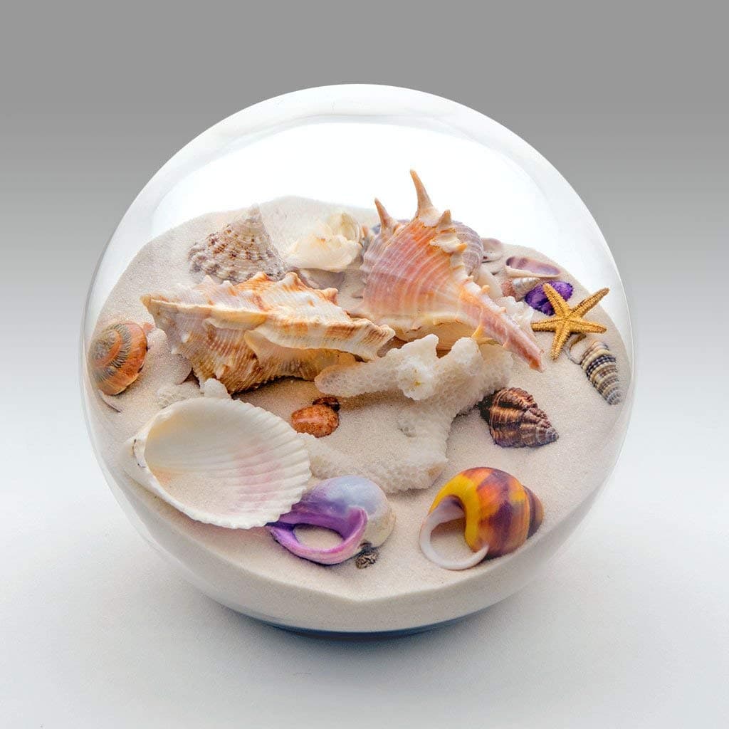 Collectible Sand and Seashell Sandglobe. Cherish
