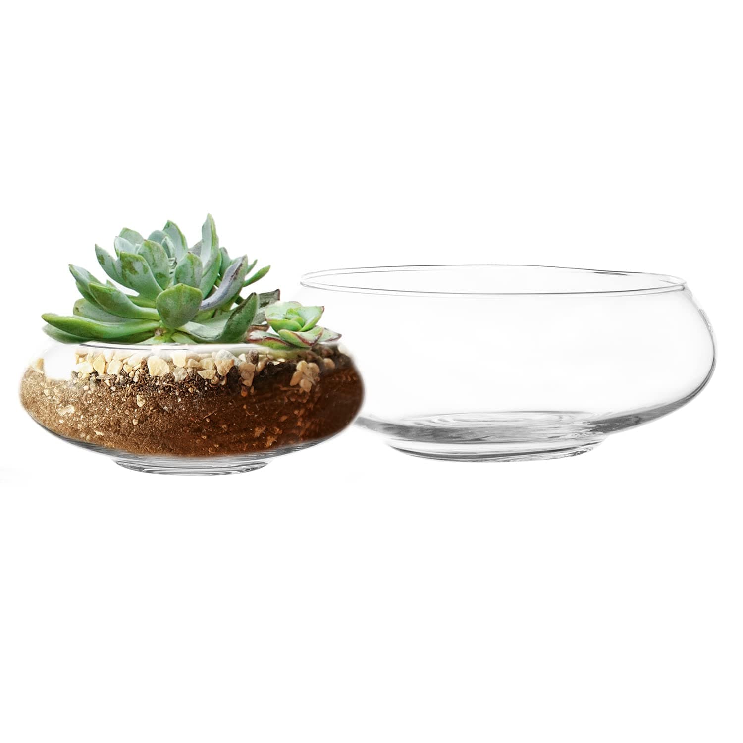 Flat Glass Bowl