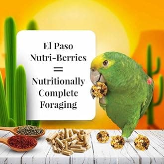 Lafeber Company Gourmet El Paso Nutri-Berries for Parrots, 1
