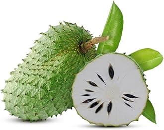 Fresh Soursop from Sri Lanka 3kg