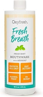 Fresh Mint Flavored Mouthwash for Adults, Fresh Breath & Bad Breath Treatment – Dentist Recommended for Long - Lasting Fresher & Healthy Gums - Alcohol & Fluoride Free - 16 Fl Oz