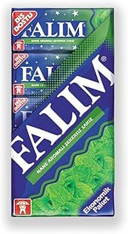 Sugarless Mint Flavoured Plain Gum