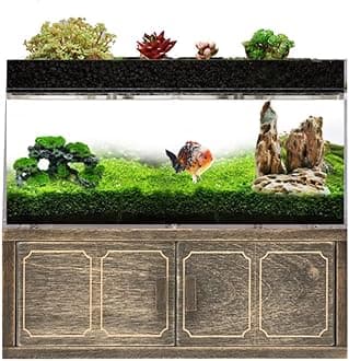 Betta Fish Tank Aquarium Kit Acrylic Material Separate Filter Box Mini Desktop Small Fish Tank with Water Pump Self Filtering Circulation Ecosystem,for Betta Fish and Guppies (Retro)