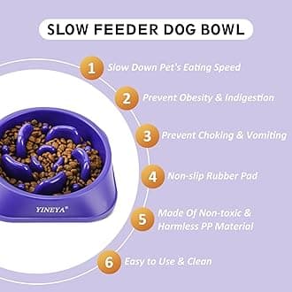 2PCS Slow Feeder Dog Bowls, Pet Supplies That Slow Down Eating, Pet Food Bowls, Maze Dog Puzzle Feeder for Medium Breed
