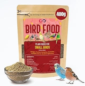 Brandsfinity 400g Bird Food for Small Birds – White Millet