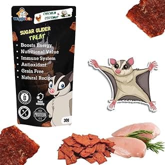 Gourmet Chicken Treat for Sugar Glider | Travel Pack | Protein Rich | for All Sugar Glider Breed | Crunchy Food Snack (30 Grm)