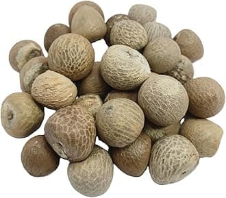 NVK Raw Areca Nut Pieces/Kachhe Supari Tukda/Betel Nut/Sopari Tukda, 100g