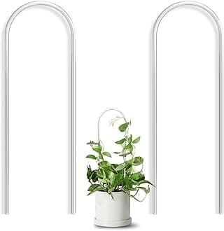 2 Pack U-Shaped Clear Acrylic Trellis for Indoor Plants, Small Plant Trellis for Potted Plants Climbing Plants, Plant Support Hoya Trellis for Vine Ivy Hoya Indoor Outdoor