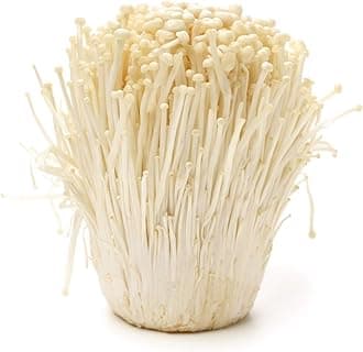 1 LB of Enoki Mushroom Spawn Mycelium to Grow Gourmet and Medicinal Mushrooms at Home or commercially - Use to Grow on Sawdust Blocks - G1 or G2 Spawn