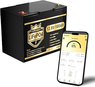 12V 100Ah Mini LiFePO4 Bluetooth Lithium Battery, 100A BMS, 10-Year Lifespan with Up to 15000 Cycles, Max. 1280Wh Energy LiFePO4 Battery in Small Size, Perfect for RV, Solar, Trolling Motor