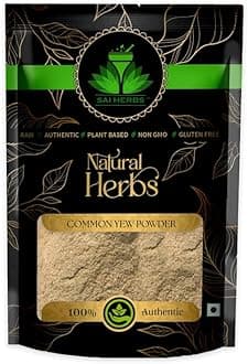 SAI HERBS Yew Herbal Powder - Common Yew Herbal Powder - American Yew Herbal Powder - Contain Antioxidants - Good for Heart - Pure & Natural (500 Grams)