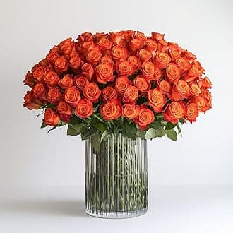 GlobalRose 50 Orange Roses Bouquet - Responsibly Sourced Roses Fresh Flowers - Hand-Picked Flowers Fresh Bouquet for Graduation, Anniversary, Birthday & Special Occasions (2 Bunches of 25 Stems)