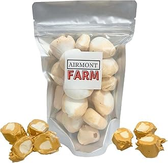 Freeze-Dried Candy Salt Water Taffy 2 oz - Cut To Bite Sized Pieces - Ships In Box - Deliciously Crunchy, Intense Flavor, Lightweight Snack (Caramel Corn)