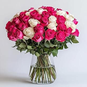 GlobalRose 50 Fresh Cut Roses (25 Hot Pink and 25 White) - Fresh Flowers Bouquet - Flowers for Valentine's Day, Wedding, Birthday, Anniversary, Women's Day, or Home Decor (OM)