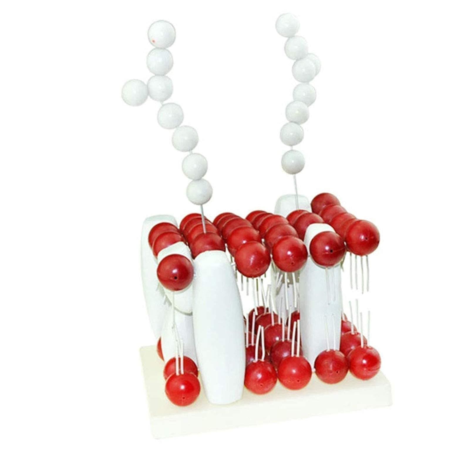 Human Model, 10 Study Model Biofilm Structure Model - Cell Membrane Model - Model of Cell Membrane - Medical Anatomical Cell Membrane Structure Model