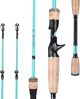 Fishing Rod, 2Pc Casting Rod Spinning Rod for Freshwater Tournament Quality Fishing Pole with 2 Tips for Bass