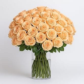 GlobalRose 75 Peach Roses Bouquet - Responsibly Sourced Roses Fresh Flowers - Hand-Picked Flowers Fresh Bouquet for Graduation, Anniversary, Birthday & Special Occasions (4 Bunches of 25 Stems)