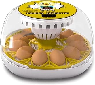 Egg Incubator for Hatching Chicks, 12-24 Egg Incubators with Auto Turning, Automatic Water Top-up, Fahrenheit Display, 360° View Poultry Incubator for Hatching Chicken Duck Quail Parrot