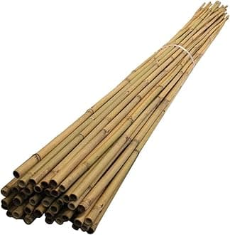 MUSAN Large 2FT 3FT 4FT 5FT 6FT Natural Garden Bamboo Canes - Heavy Duty Strong Plant Support Poles Thick Sticks - Indoor & Outdoor Plants Stakes Wooden Screening Wood Trellis (30, 5FT (8-10mm))