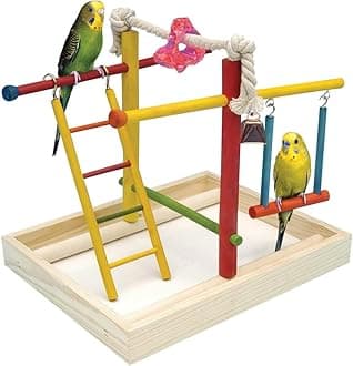 Penn-Plax Bird Life Activity Center – Perfect For Younger or Smaller Birds – Medium Size
