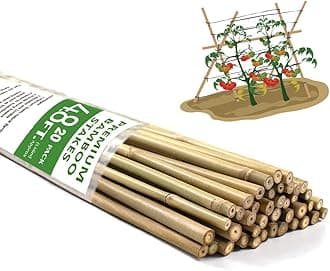 Bamboo Stakes,4.8FT Natural Bamboo Garden Stakes,BOVITRO 20Pcs Plant Stakes,Bamboo Sticks for Tomato,Beans,Vegetable and Climbing Plants