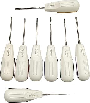 Dental Luxating Extraction Instruments Root Elevator Dentist Dental Equipments Set of 8 Each