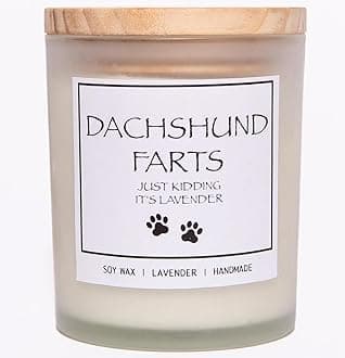 Dachshund Decor for Women - Candle, Gifts for Weiner Dog Lovers