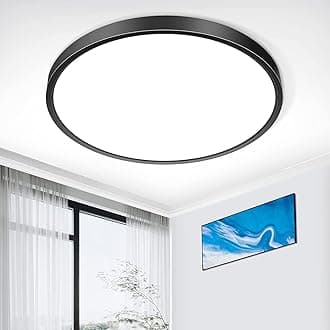 inShareplus 12inch LED Ceiling Light Fixture, Black 24W(240W Equiv) 6000K Cold White Flush Mount Ceiling Lights, Super Bright, 3200LM Modern Ceiling Lamp for Bedroom Kitchen, Office, Hallway [Energy Class E]
