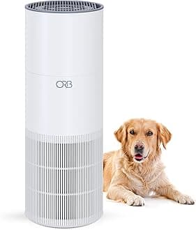 ORB 2-in-1 Air Purifier & Humidifier Combo for Bedroom – HEPA Filter, Quiet, Auto Mode, No Mist, Removes Dust Smoke Odors Pet Dander, Top Fill, Covers 500 Sq Ft