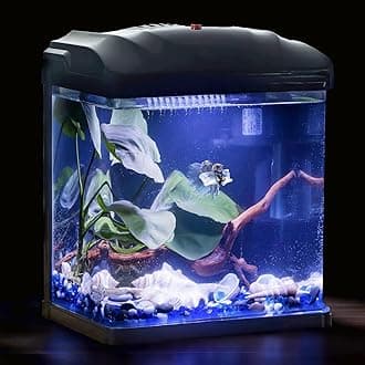 Small Fish Tank 2 Gallon Glass Aquarium Starter Kits,Betta Fish Tank with Filter and Plant Light for Betta Shrimp Guppy Jellyfish Goldfish Beta, Room Desktop Decor, Gifts