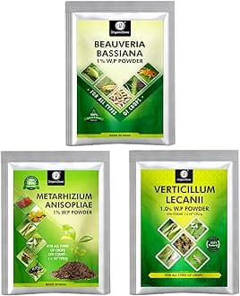 OrganicDews Beauveria bassiana + Verticillium lecanii + Metarhizium anisopliae Bio for Plants - 250 gram Each
