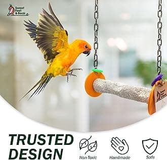 Sweet Feet and Beak Safety Roll Swing Bird Toy - Features Real Pumice - Trims Nails and Beak Like Pet Grooming Clippers - Promotes Healthy Feet - Safe, Non-Toxic Bird Supplies for Bird Cages