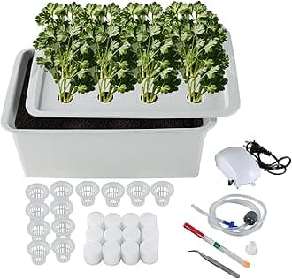 Indoor Hydroponic Grow Kit with Bubble Stone, 12 Sites (Holes) Bucket, Air Pump, Sponges - Best Indoor Herb Garden - Grow Fast at Home