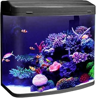 Jainsons Pet Products Minjiang Fish Aquarium Tank (HR3-480, Capacity-34L, Black)