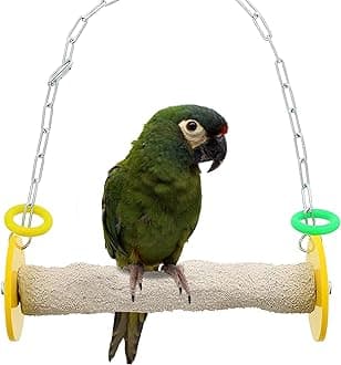 Sweet Feet and Beak Bird Swing - Pumice Perch Trims Nails and Beaks, Safe and Non-Toxic, For Small and Large Birds, 10.5 Inches