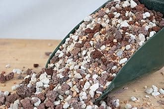 1 Qrt. Pre Mixed Pumice, Red Lava, Turface for Cactus & Succulent, Garden House Plant, Bonsi Tree Soil Mix - Medium Grain Inorganic Additive (1Q INORG M)