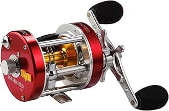 KastKing Rover Round Baitcasting Fishing Reel, Perfect Conventional Reel for Catfish, Salmon/Steelhead, Striper Bass and Inshore Saltwater Fishing Reel, Reinforced Metal Body